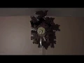 Cuckoo clock setup guide