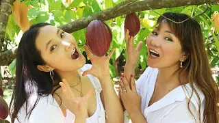 Handmade Chocolate Making by a Mayan Master – Ep 114 Sailing Luckyfish