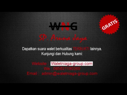 Download MP3 Suara Walet Pangil Terbaik - SP. ARUNA JAYA #WNG pt.4