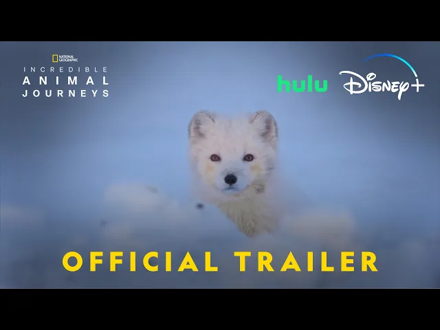 Official Trailer