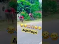 Lagu vidio Lucu TikTok  Bikin Ngakak