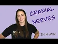 Cranial Nerves - Function Testing
