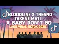 Download Lagu DJ BLOODLINE X TRESNO TAKENE MATI X BABY DON'T GO LAGU VIRAL TIKTOK