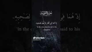 أجمل ما ستسمع بصوت وديع اليمني ارح قلبك الا تنصروه فقد نصره الله وديع اليمني كرومات Trending 