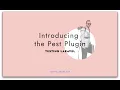 Discovering the Pest Plugin