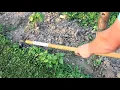 Eliminate Weeds With This One Tool