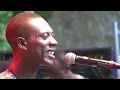 Ebo Taylor - 4 - LIVE at Afrikafestival Hertme 2010