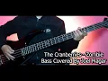 Download Lagu The Cranberries - Zombie Bass Cover | Joel Kyapchhaki Magar