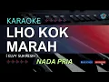 Lagu KARAOKE LHO KOK MARAH { ELVY  SUKAESIH } NADA PRIA