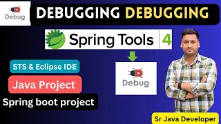 How to Debug Java project in Eclipse How to Debug Spring boot API in STS IDE