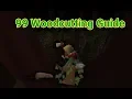 Easiest 1-99 Woodcutting Guide Beaver Pet Hosidius Favor Woodcutting Guild osrs