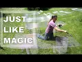 If You Paint Chicken Wire Black
