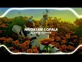 Hridayam Lopala - Slowed + Reverb | Anirudh