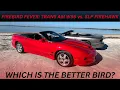 FIREBIRD FEVER TRANS AM WS6 vs SLP FIREHAWK