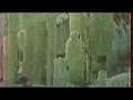Download Lagu تلاوة من تهجد الحرم المكي من سورتي الأنعام والأعراف - الشيخ علي جابر 28-9-1408هـ