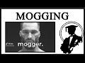 What Is Mogging And Mewing