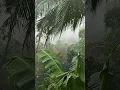 Download Lagu Hujan Merintik di Perkampungan