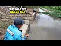 Lagu Seharian Berkeliling Mencari Spot Mancing,Ahirnya Ketemu Spot Pertigaan Yang Dihuni Ikan Nila