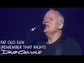 Download Lagu David Gilmour - Fat Old Sun Remember That Night