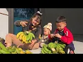 Heartwarming Mother’s Love: Giant Banana Harvest and Tender Care for Her Kids