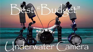 The Best BUDGET Underwater Camera