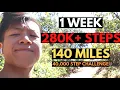 I Walked 40 000 STEPS EVERYDAY FOR A WEEK I The Power Of Walking