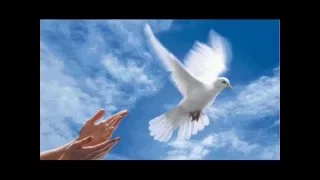 كي بغيتي تطير يا حمامة  الهادي الجويني                                      دندنها
