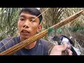Download Lagu Cara membuat getah lidi buat mikat segala jenis burung
