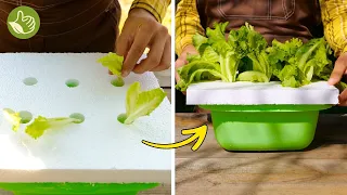 Genius Garden Hacks: Grow the most unusual plants at home with these hacks🌸