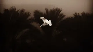 يا طيبة يا دوا العيانا   بطيء          انشودة الطفولة لما سار المركب نساني     سبيستون  طفولة دندنها