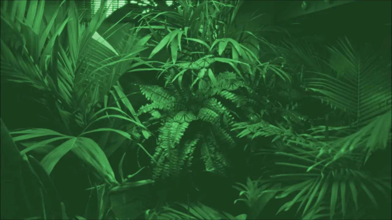 Calvin Harris - Cash Out (RELVAIRE Remix)