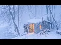 The Blizzard Left Me No Choice My Hidden Shelter Saved Me