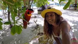 Kennedy Island, JFK’s story of survival in WW2 – Sailing Nandji, Ep 77