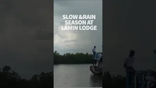 Rain season is slow and relaxed on the river #windedvoyage #sailinglifestyle #windedvoyage #gambia