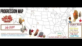 2019 Morel Mushroom Progression Maps Animated