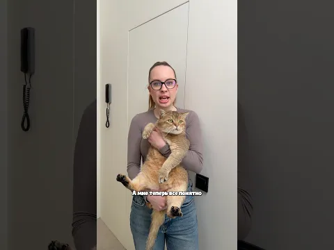 Настенка беременна!