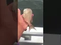 Sound Bound Fishing
