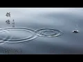 [VIETSUB + LYRICS] 領悟 | LĨNH NGỘ | UNDERSTANDING - 辛曉琪 | TÂN HIỂU KỲ - WINNIE HSIN