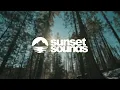 The Rare Occasions - Notion | Lyrics