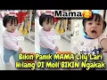 Download Lagu DETIK² LILY HILANG LARI DI MOLL BIKIN P4NIK PAPA MAMA GIGI Download Lagu DETIK² LILY HILANG LARI DI MOLL BIKIN P4NIK PAPA MAMA GIGI