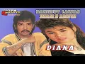 Lagu Diana - Imam S Arifin l Golden Memory Dangdut Original lawas