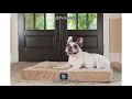 Serta Ortho Quilted Pillowtop Pet Bed Review Is It Worth the Comfort for Your Dog