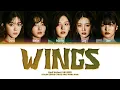 RED VELVET Wings Lyrics (Color Coded Lyrics)