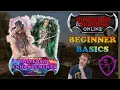 DDO Beginner Basics Universal Enhancements