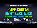 Download Lagu IMEY MEY CABE CABEAN KARAOKE NADA WANITA remix