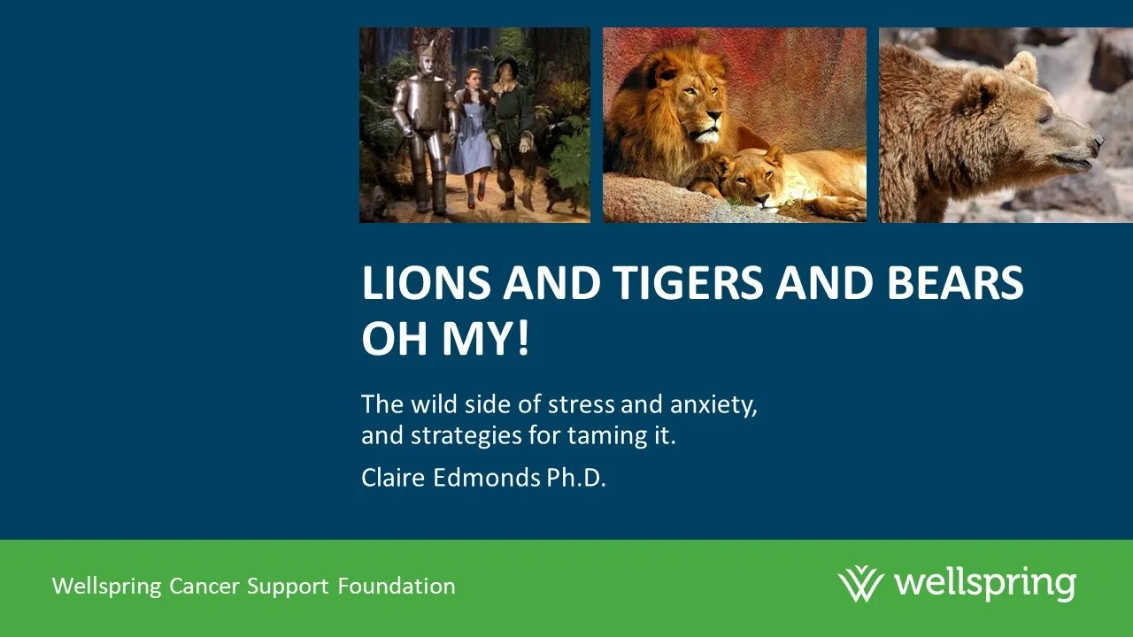 Lions, Tigers, and Bears Be Well Talk