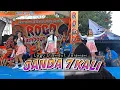 Download Lagu JANDA 7 KALI Versi Djandut Paradise❗️ROGO SAMBOYO PUTRO Terbarh