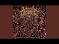 Download Lagu Force Fed Shredded Genetalia
