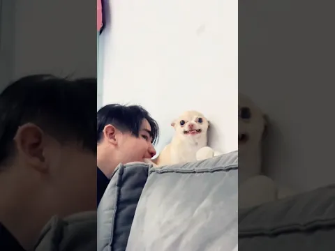 😂