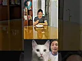 Lagu Boiiiel #cat #memes #duet #trending #cute #funny